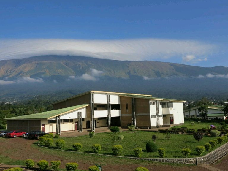 FSMSSA Official Website buea background 768x576.webp